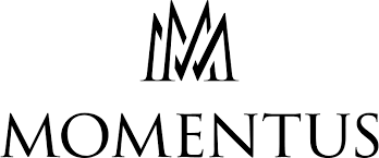 MOMENTUS DERİ KORDON